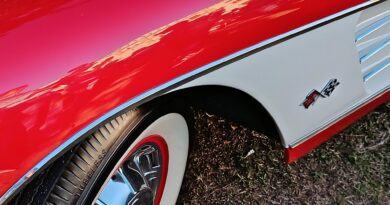 XIX Poços Classic Car 2026
